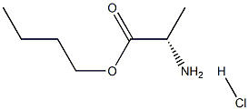 98+ whiter powder  L-Ala-nbu.Hcl CAS NO. 81305-85-3